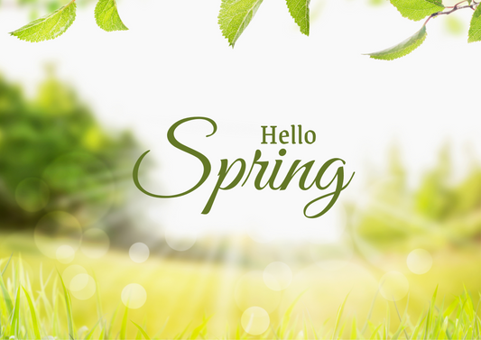 Spring Lawn Care Guide